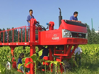 今日五征（65）