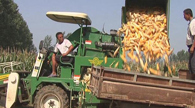 今日五征（70）