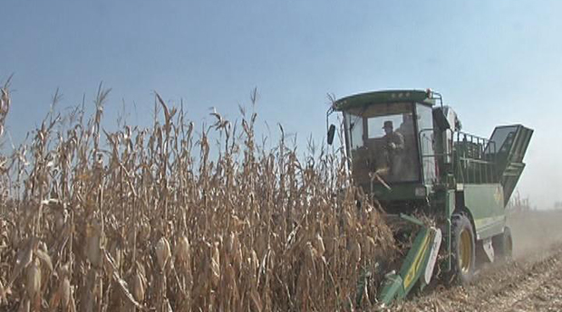 今日五征（74）