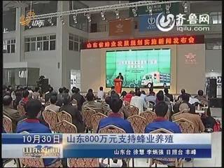 《山东新闻联播》山东800万元支持蜂业养殖