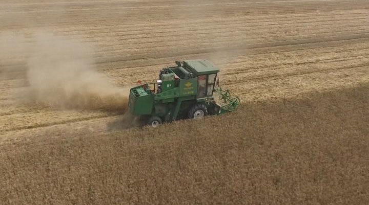 今日五征（193）