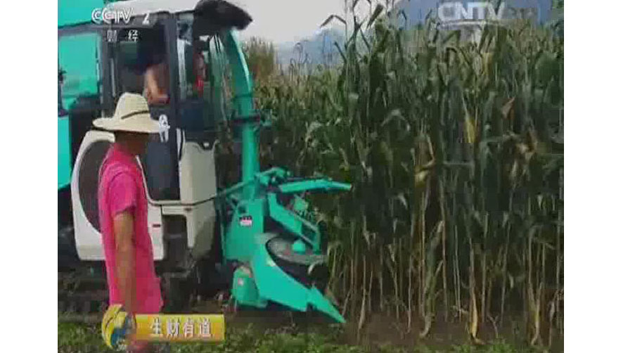 要生财有道 看央视支招