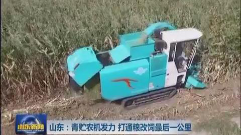 山东：青贮农机发力 打通粮改饲最后一公里
