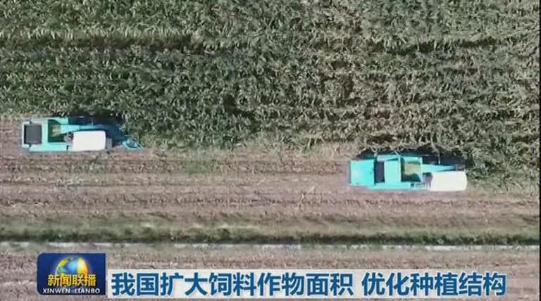 我国扩大饲料作物面积  优化种植结构