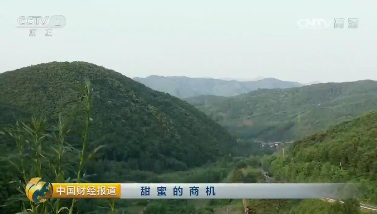 中国财经报道《甜蜜的商机》