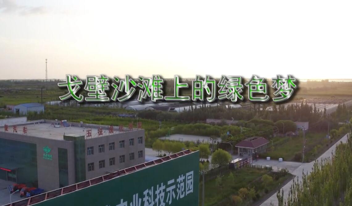 戈壁滩上的绿色梦