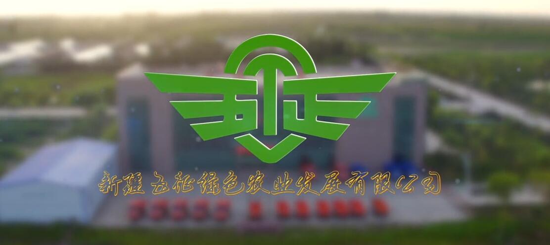 新疆五征绿色农业发展公司宣传片