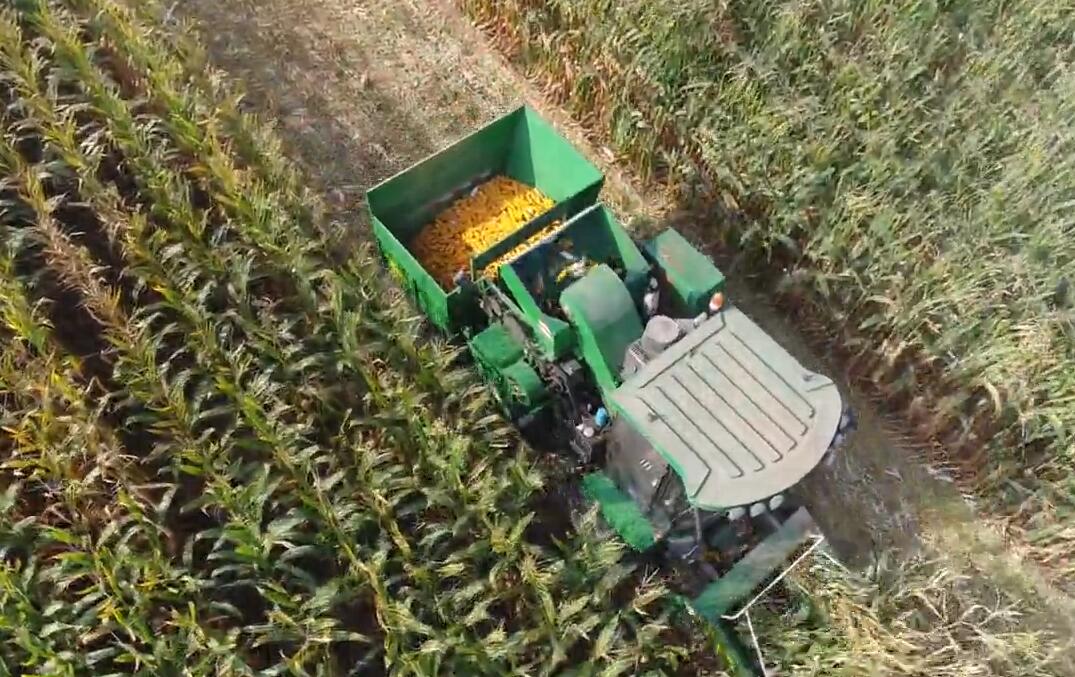 五征中三行玉米收获机