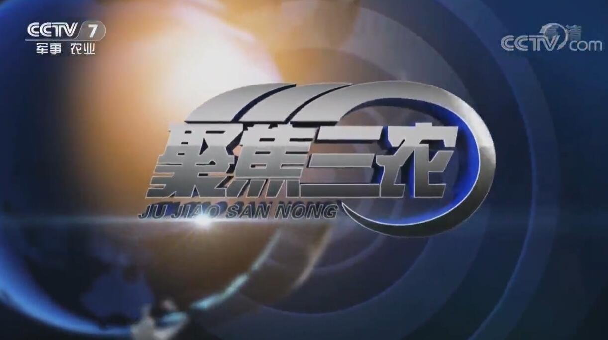 CCTV-7《聚焦三农》养蜂人的新生活