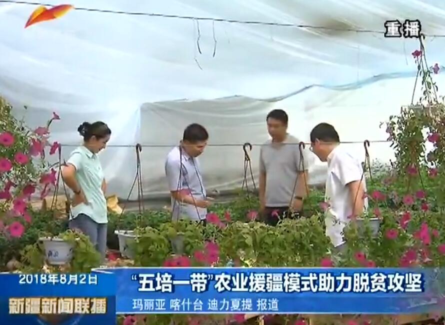 新疆新闻联播：五培一带农业援疆模式助力脱贫攻坚