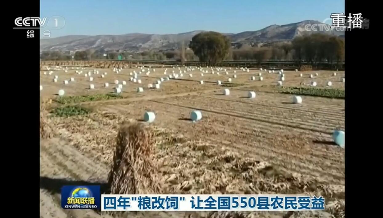 新闻联播：四年粮改饲 让全国500县农民受益