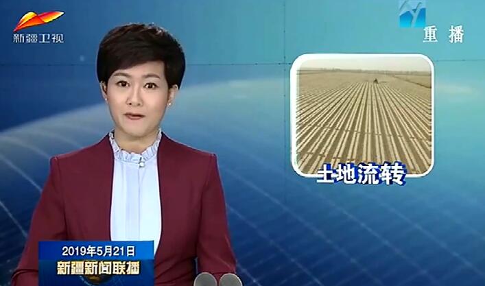 【新时代新作为新篇章】土地流转助力农业规模化现代化发展