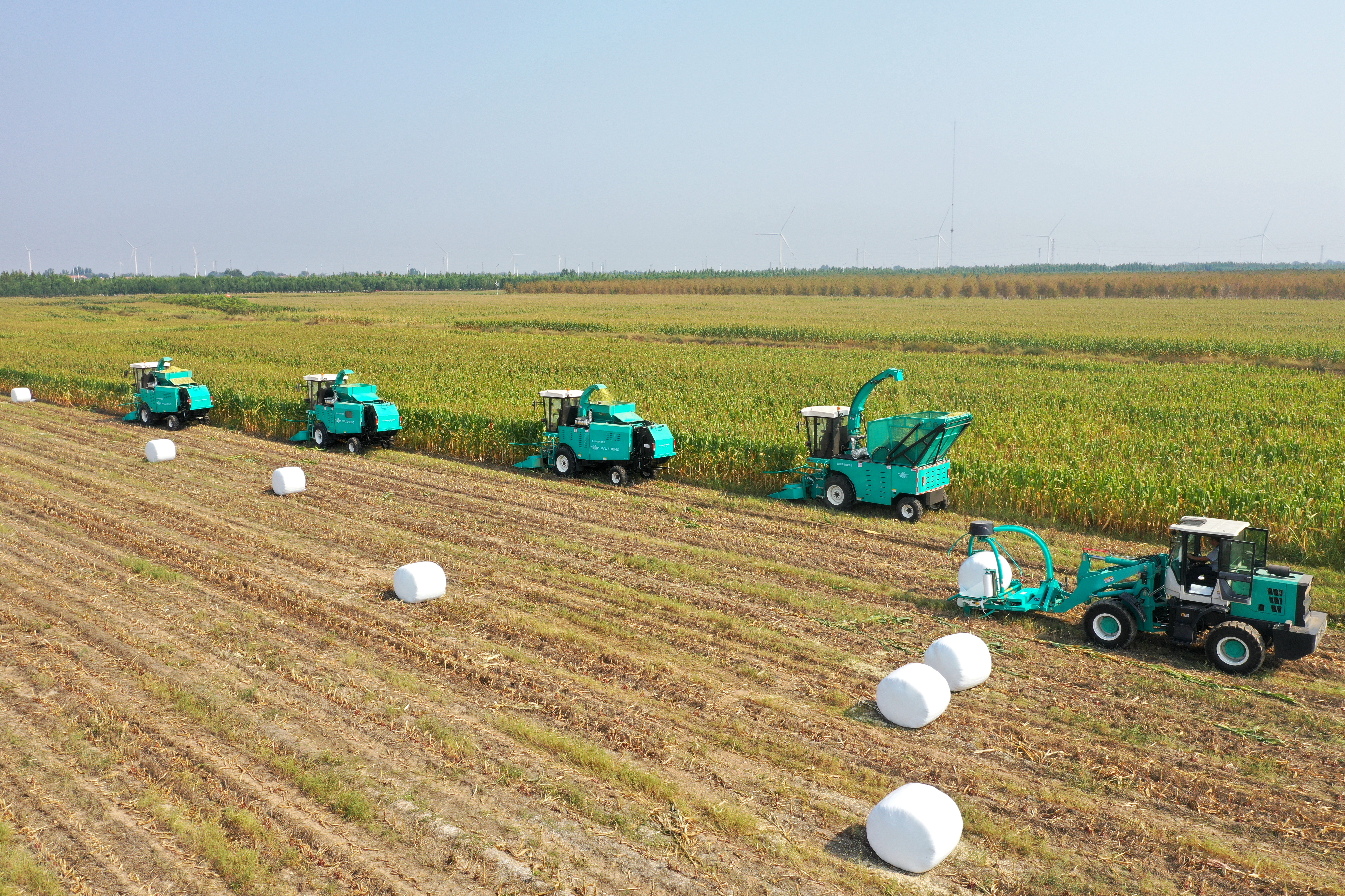 青贮机械作业合集